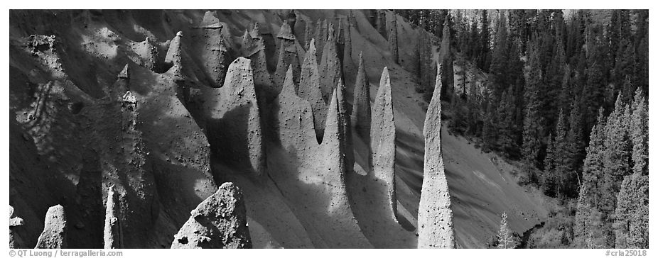 The Pinnacles. Crater Lake National Park (black and white)