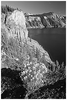 Sage flower and cliff. Crater Lake National Park, Oregon, USA. (black and white)