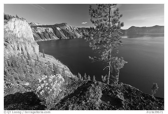 Flowers, cliff, and lake. Crater Lake National Park (black and white)