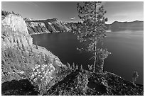 Flowers, cliff, and lake. Crater Lake National Park, Oregon, USA. (black and white)