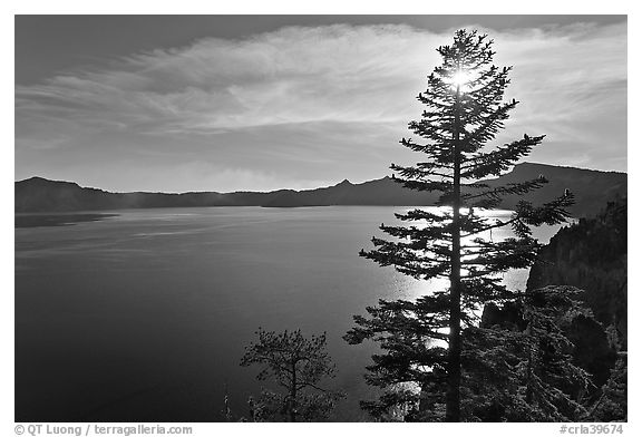 Lake and sun shining through pine tree, afternoon. Crater Lake National Park, Oregon, USA.