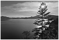 Lake and sun shining through pine tree, afternoon. Crater Lake National Park, Oregon, USA. (black and white)