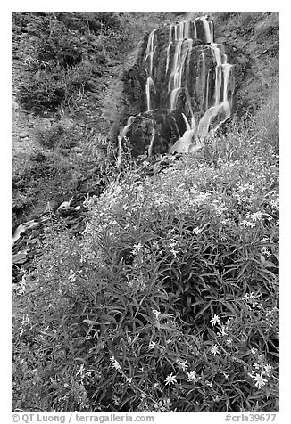 Vidae Falls and wildflowers. Crater Lake National Park, Oregon, USA.