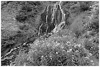 Vidae Falls and stream. Crater Lake National Park, Oregon, USA. (black and white)