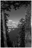 Lake seen between pine trees. Crater Lake National Park ( black and white)