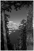 Lake seen between pine trees. Crater Lake National Park ( black and white)