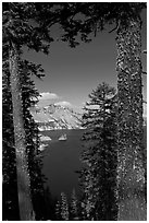 Lake seen between pine trees. Crater Lake National Park, Oregon, USA. (black and white)