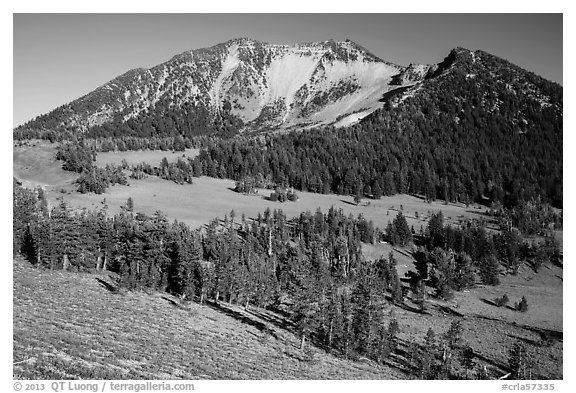 Mount Scott from the base. Crater Lake National Park (black and white)