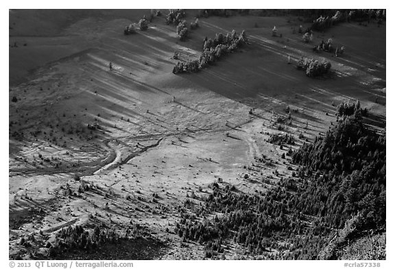 Trees and pumice plain seen from Mount Scott. Crater Lake National Park (black and white)