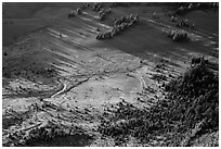 Trees and pumice plain seen from Mount Scott. Crater Lake National Park ( black and white)