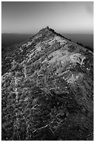 Mount Scott summit and fire lookout at sunset. Crater Lake National Park ( black and white)