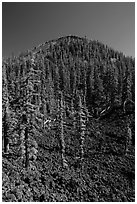 Lava rocks and cinder cone, Wizard Island. Crater Lake National Park ( black and white)