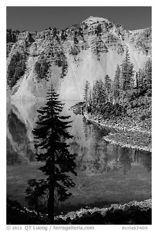 Hemlock, Watchman reflection, and clear waters, Wizard Island. Crater Lake National Park (black and white)