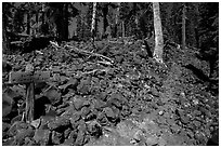 Trail junction and signs, Wizard Island. Crater Lake National Park ( black and white)