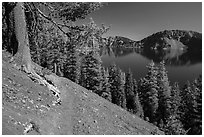 Wizard Island summit trail. Crater Lake National Park ( black and white)