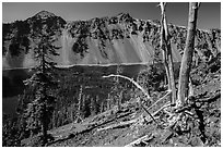 Whitebark pines on top of Wizard Island cinder cone. Crater Lake National Park ( black and white)