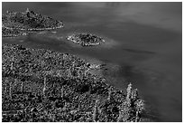 Shoreline of Wizard Island seen from top of cinder cone. Crater Lake National Park ( black and white)