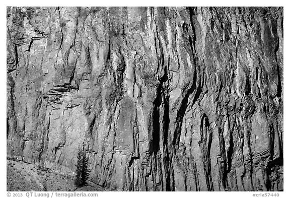 Cliff detail. Crater Lake National Park (black and white)