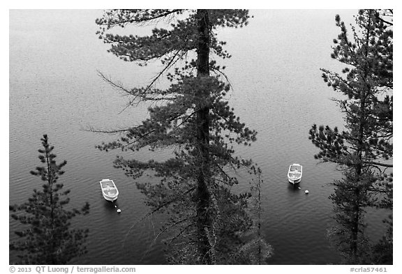 Tour boats seen between trees, Cleetwood Cove. Crater Lake National Park (black and white)