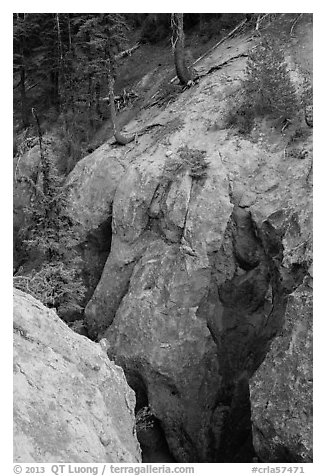 Munson Creek gorge carved in fossilized ash. Crater Lake National Park (black and white)