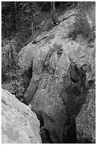 Munson Creek gorge carved in fossilized ash. Crater Lake National Park ( black and white)