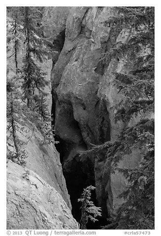 Deep gorge of Munson Creek. Crater Lake National Park (black and white)