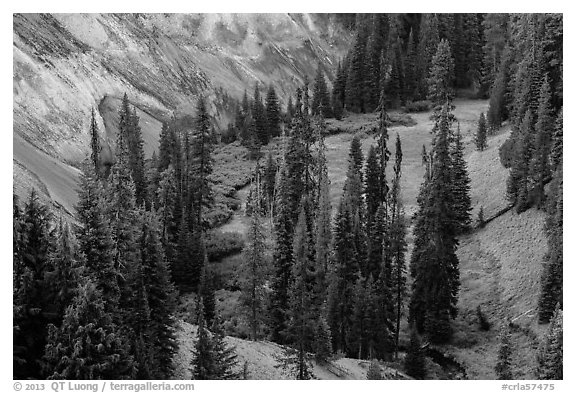 Godfrey Glen. Crater Lake National Park (black and white)