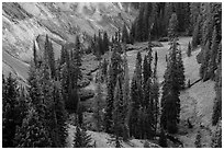 Godfrey Glen. Crater Lake National Park ( black and white)