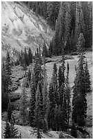 Godfrey Glen Meadow and ash cliffs. Crater Lake National Park ( black and white)