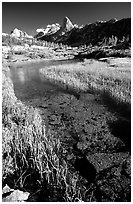 Stream and Mountains. Kings Canyon National Park, California, USA. (black and white)