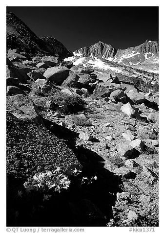 Mountains near Sawmill Pass, morning. Kings Canyon National Park, California, USA.