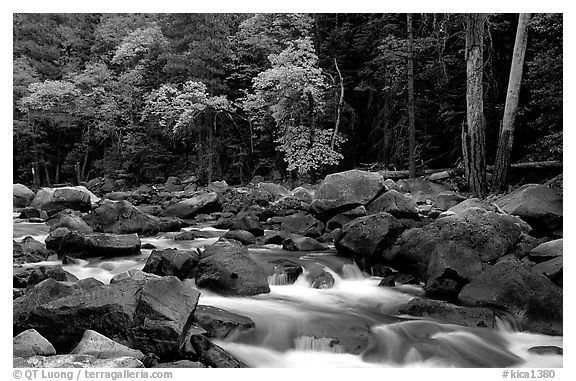 South Fork of  Kings River in autumn. Giant Sequoia National Monument, Sequoia National Forest, California, USA (black and white)