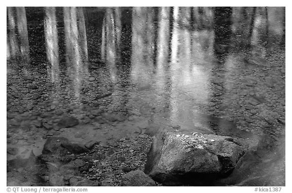 Reflections in Cedar Grove. Kings Canyon National Park, California, USA.