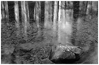 Reflections in Cedar Grove. Kings Canyon National Park ( black and white)