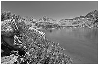 Wood stump and lake, Lower Dusy Basin. Kings Canyon National Park, California, USA. (black and white)