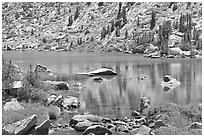 Lake and tree reflections, Lower Dusy Basin. Kings Canyon National Park, California, USA. (black and white)