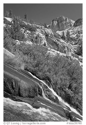 Waterfall, wildflowers and mountains, Le Conte Canyon. Kings Canyon National Park, California, USA.