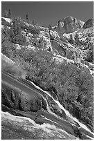 Waterfall, wildflowers and mountains, Le Conte Canyon. Kings Canyon National Park, California, USA. (black and white)