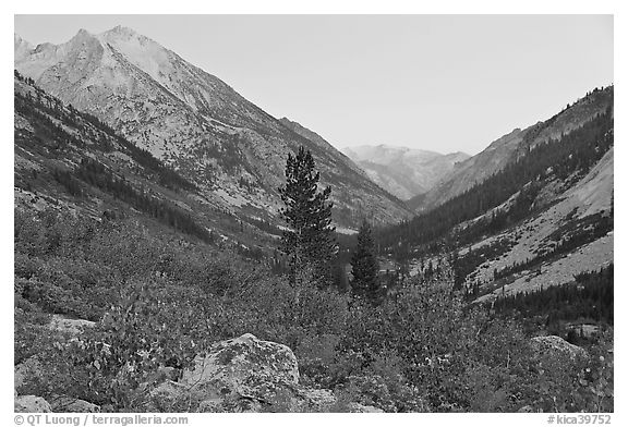 Looking south in Le Conte Canyon at dusk. Kings Canyon National Park (black and white)