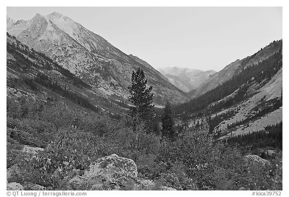 Looking south in Le Conte Canyon at dusk. Kings Canyon National Park, California, USA.