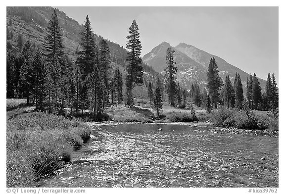 Glistening waters in middle Fork of the Kings River, Le Conte Canyon. Kings Canyon National Park, California, USA.