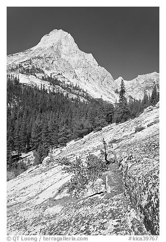 Langille Peak and Granite slab in Le Conte Canyon. Kings Canyon National Park, California, USA.