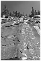 Water cascade over granite slab, Le Conte Canyon. Kings Canyon National Park ( black and white)