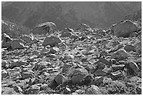 Boulders in meadow above Le Conte Canyon. Kings Canyon National Park, California, USA. (black and white)