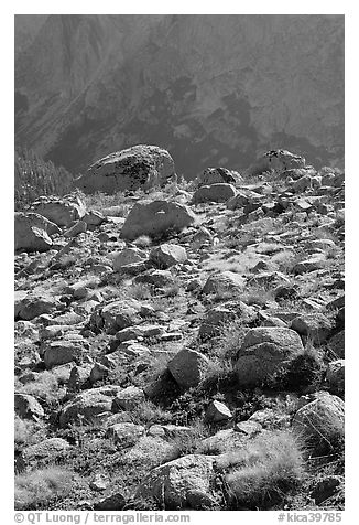 Boulders in meadow and Le Conte Canyon walls. Kings Canyon National Park, California, USA.