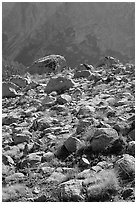 Boulders in meadow and Le Conte Canyon walls. Kings Canyon National Park, California, USA. (black and white)