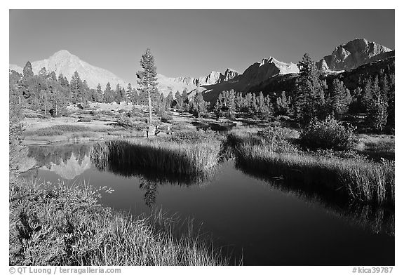 Grasses, creek, and Columbine Peak. Kings Canyon National Park, California, USA.