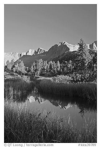 Grasses and mountains reflections, Lower Dusy basin. Kings Canyon National Park, California, USA.