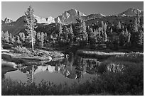 Trees, grasses, calm reflections, Lower Dusy basin. Kings Canyon National Park, California, USA. (black and white)