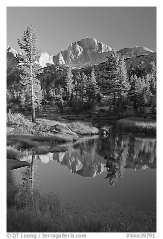 Trees and mountains reflected in calm creek, Lower Dusy basin. Kings Canyon National Park, California, USA.